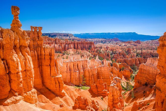 7-Day: Zion, Bryce, Monument Valley, Arches and Grand Canyon Tour - Monument Valley Jeep tour: Navajo-guided and built for real stars