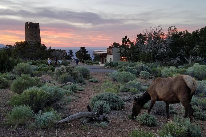 Custom Grand Canyon Day Trip - Why this Grand Canyon day trip from Phoenix feels different