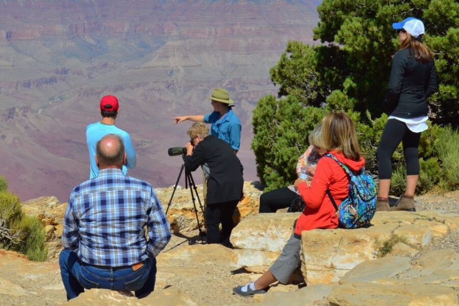 From Flagstaff: Grand Canyon National Park Tour - Lunch time: picnic lunch in a pine-and-juniper setting