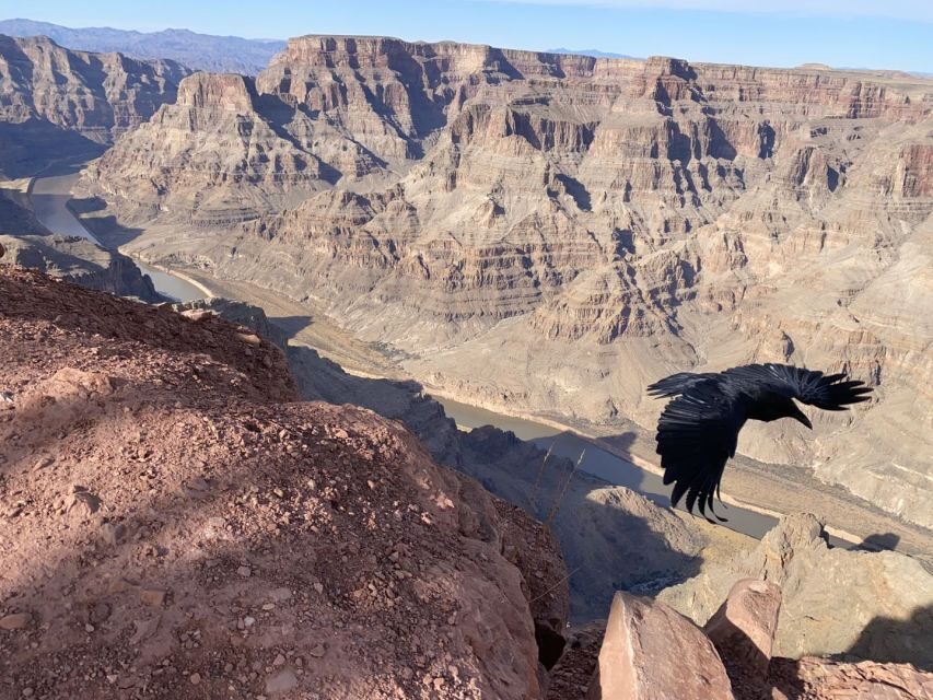 From Las Vegas: Grand Canyon & Hoover Dam Private Photo Tour - Hemenway Park and seasonal bighorn sheep near Lake Mead
