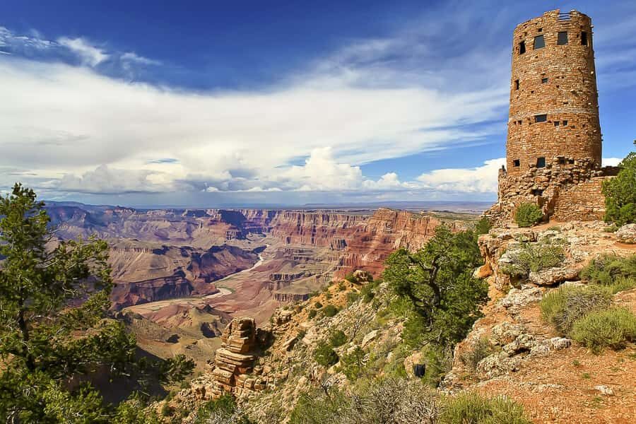 From Phoenix: Grand Canyon, Sedona, and Oak Creek Day Trip - The Sonoran Desert-to-Flagstaff climb: saguaro and pine in one day