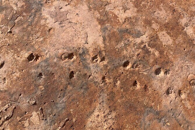 Grand Canyon Biblical Creation Hiking Tour • South Kaibab Trail - Who this tour fits best (and who should reconsider)