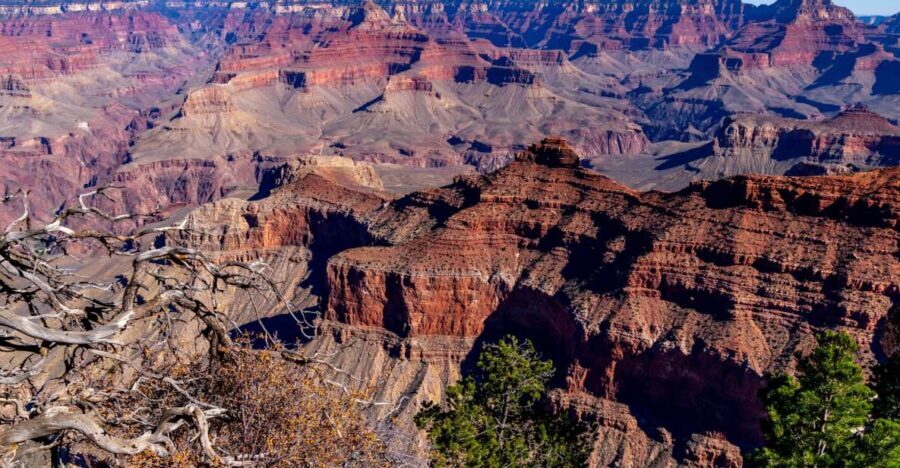 Grand Canyon Classic Sightseeing Tour Departing Flagstaff - Ponderosa Pines, Painted Desert edges, and the Navajo Reservation