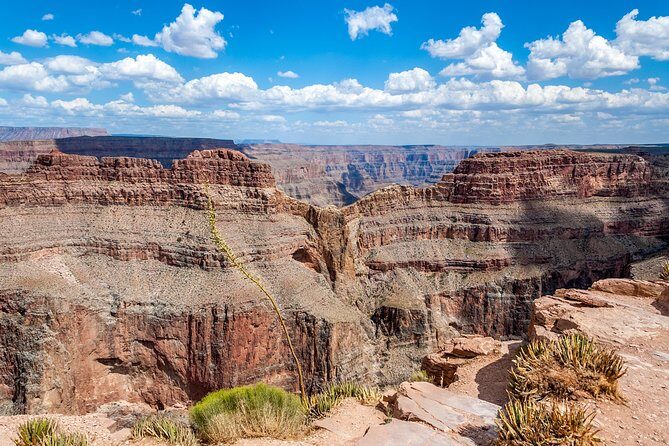 Grand Canyon + Hoover Dam View + WiFi (Skywalk/lunch options) - Joshua Tree forest stop: a quick change of scenery
