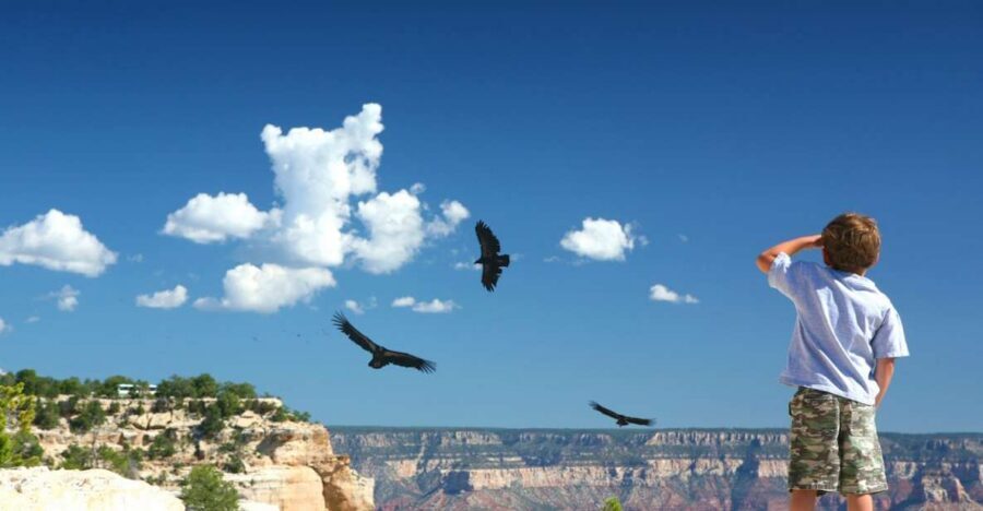 Grand Canyon: Morning Off-Road Safari with Skip the Gate - Skip-the-Gate Access From Tusayan to the South Rim