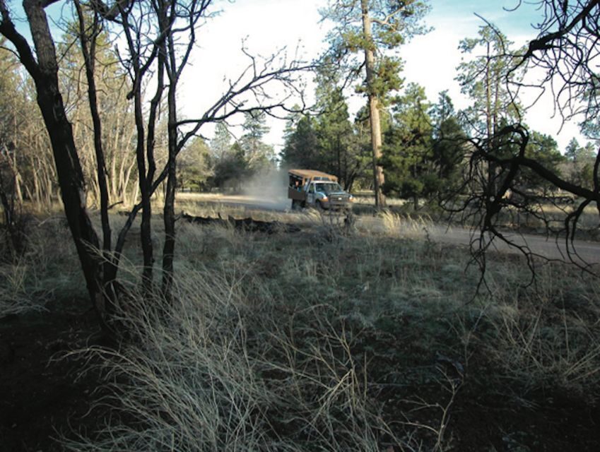 Grand Canyon: Off-Road Sunset Safari with Skip-the-Gate Tour - Canyon Rim Viewpoints: What Your Guide Will Point Out