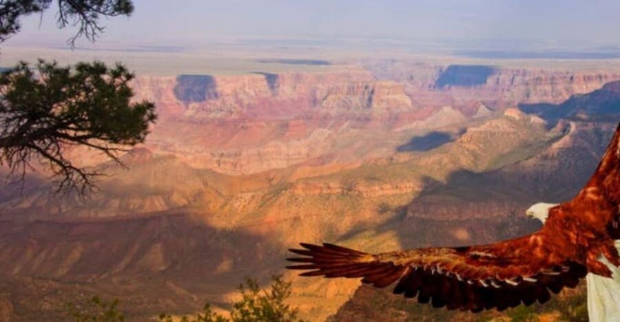 Grand Canyon West: 1-Day Entrance Ticket - Key Highlights You’ll Actually Feel in Your Day