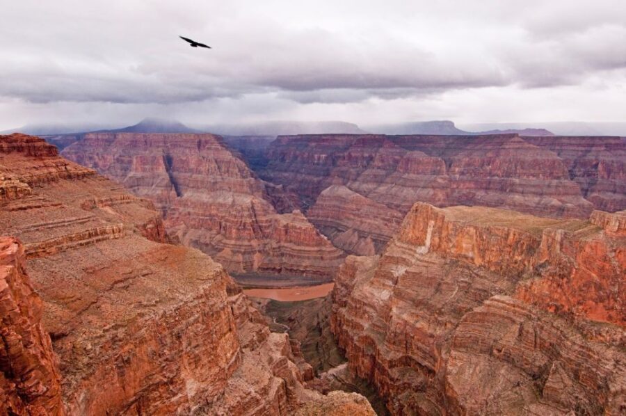 Las Vegas: Grand Canyon Helicopter Landing Tour - The flight path you’ll actually see: Lake Mead to Grand Wash Cliffs