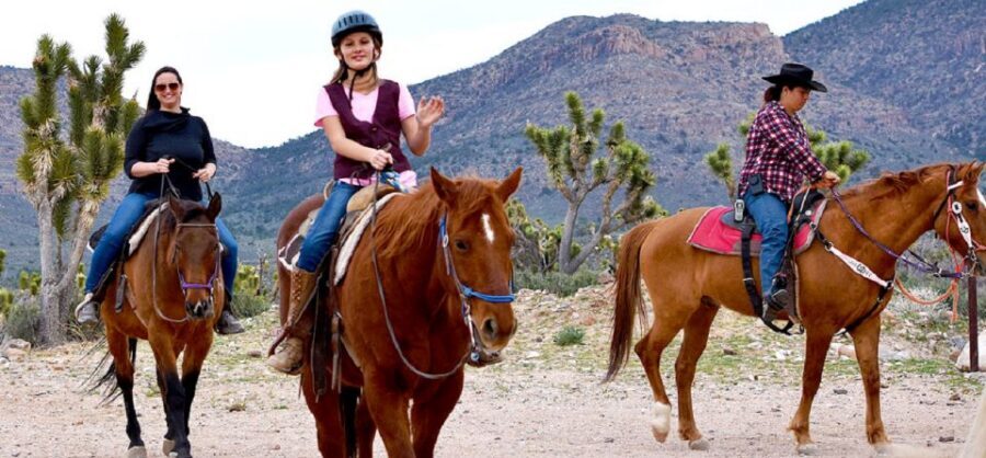 Las Vegas: Grand Canyon Ranch Tour with Horseback/Wagon Ride - Timing, Terrain, and What to Pack So the Day Feels Good