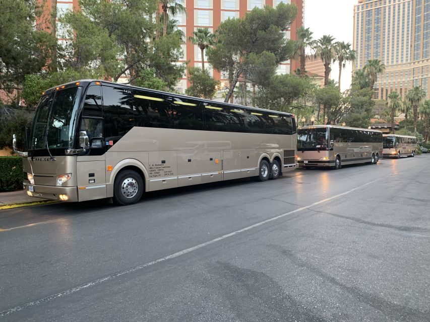 Las Vegas/Williams/Tusayan/Grand Canyon: One-Way Shuttle - Key things to know before you go