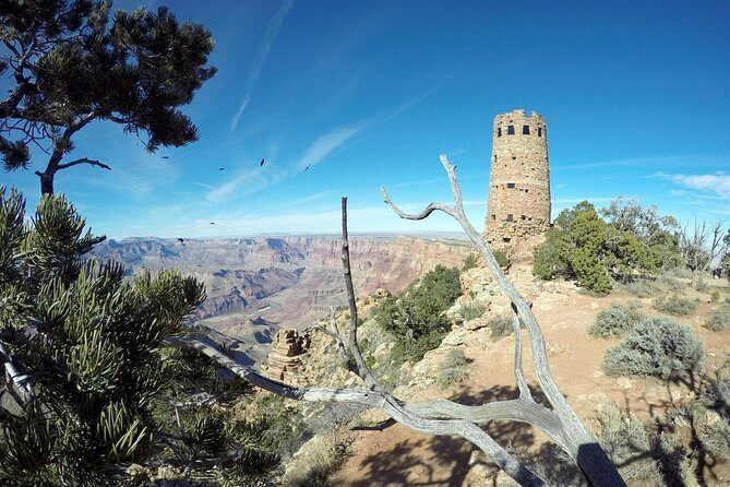 Private Grand Canyon Hike and Sightseeing Tour - Lunch, Snacks, and Soft Drinks: Built Into the Value