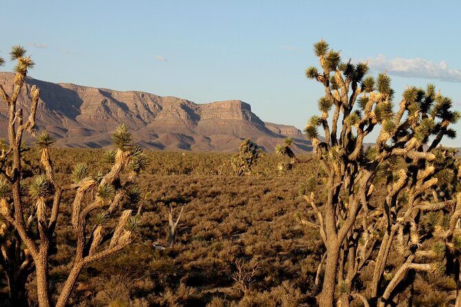 Small Group Grand Canyon, Hoover Dam and 7 Magic Mountains Tour - Timing and pacing: how the full day unfolds