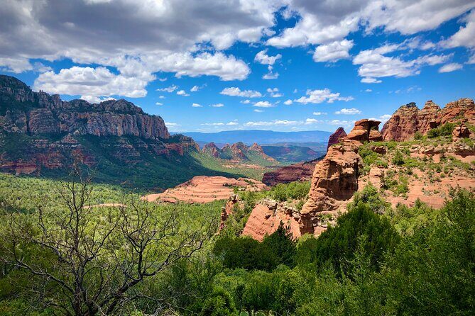 Small-Group or Private Grand Canyon with Sedona Tour from Phoenix - The morning drive: saguaro desert to ponderosa pine near Flagstaff