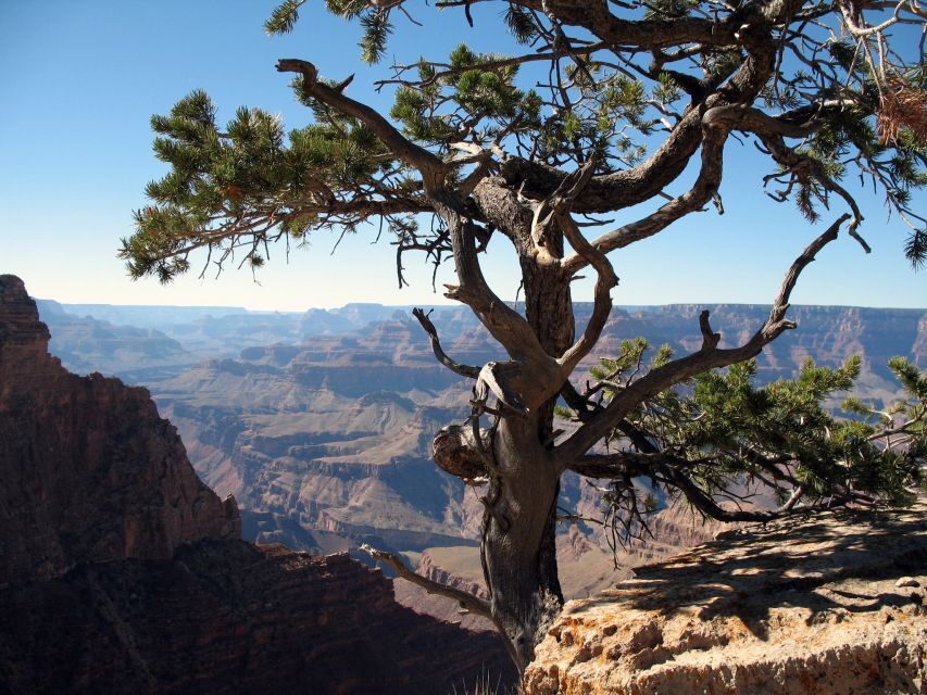 The Grand Canyon Classic Tour From Sedona, AZ - Starting in Sedona: why this day trip feels like more than a transfer