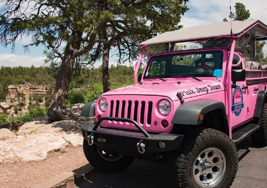 Tusayan: Grand Canyon Desert View & South Rim Pink Jeep Tour - Meeting at the IMAX Visitor Center and picking your departure time